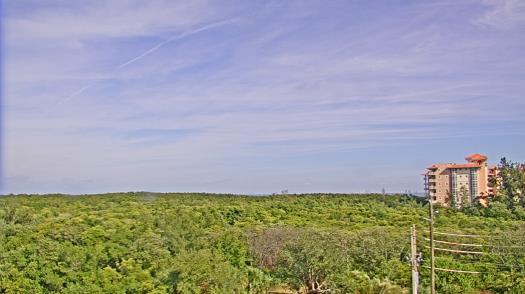 Weather camera view of WTSP-TV.