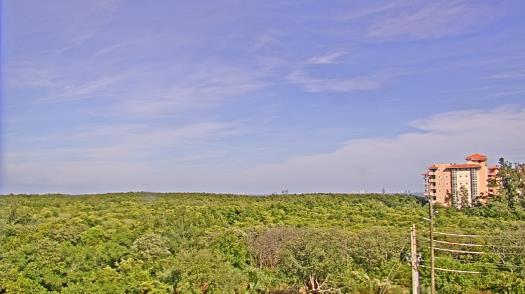 Weather camera view of WTSP-TV.