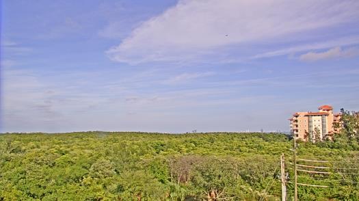 Weather camera view of WTSP-TV.