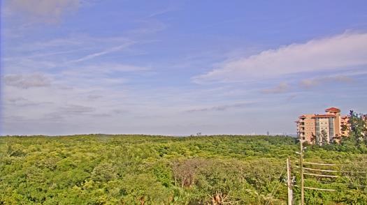 Weather camera view of WTSP-TV.