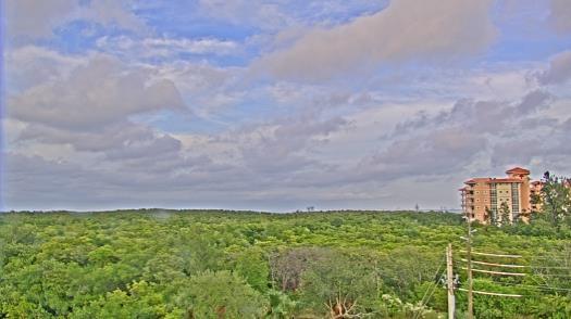 Weather camera view of WTSP-TV.