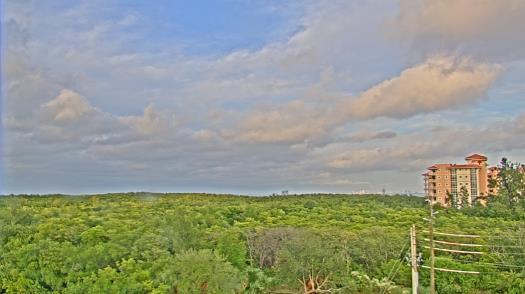 Weather camera view of WTSP-TV.