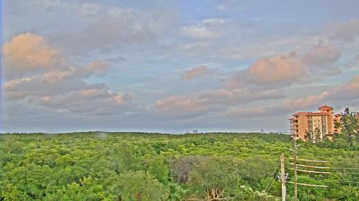 Weather camera view of WTSP-TV.