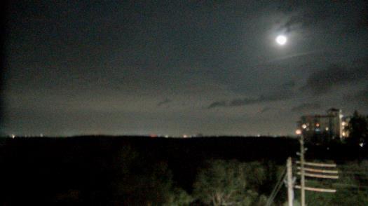 Weather camera view of WTSP-TV.