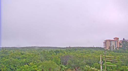 Weather camera view of WTSP-TV.