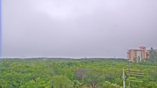 Weather camera view of WTSP-TV.