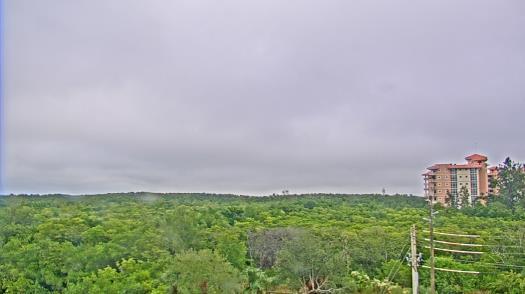 Weather camera view of WTSP-TV.