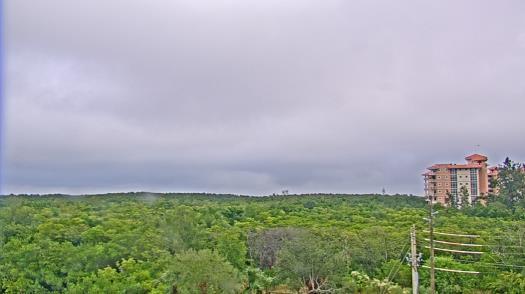 Weather camera view of WTSP-TV.