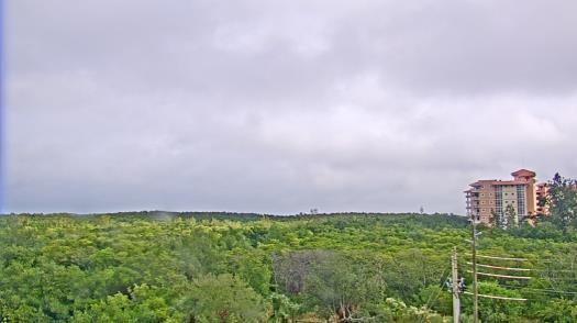 Weather camera view of WTSP-TV.