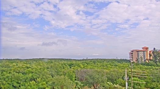 Weather camera view of WTSP-TV.