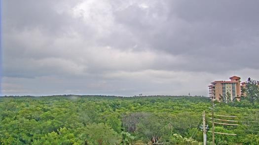 Weather camera view of WTSP-TV.