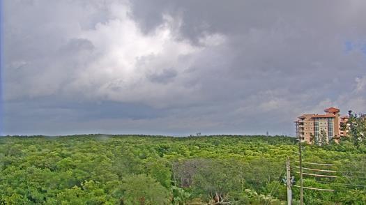 Weather camera view of WTSP-TV.