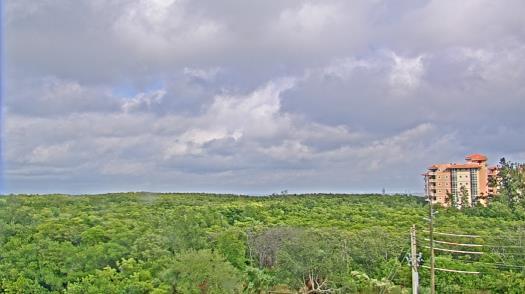 Weather camera view of WTSP-TV.