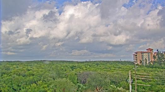 Weather camera view of WTSP-TV.