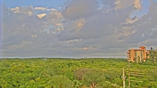 Weather camera view of WTSP-TV.