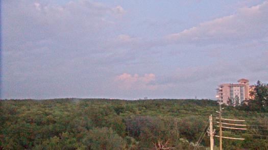 Weather camera view of WTSP-TV.