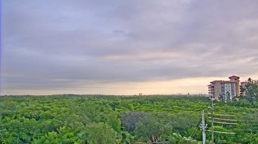 Weather camera view of WTSP-TV.