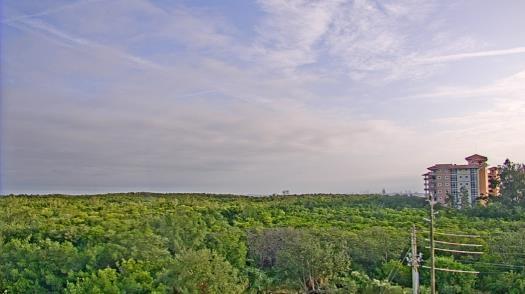 Weather camera view of WTSP-TV.