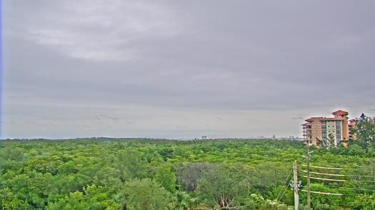 Weather camera view of WTSP-TV.