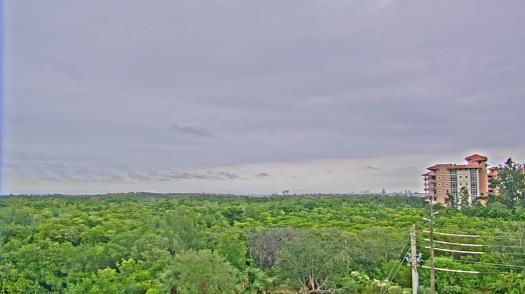 Weather camera view of WTSP-TV.