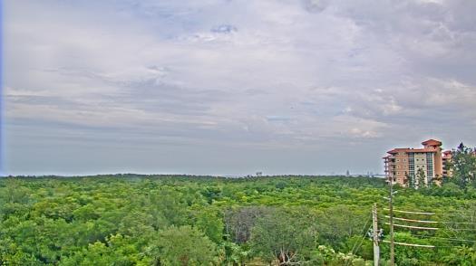 Weather camera view of WTSP-TV.