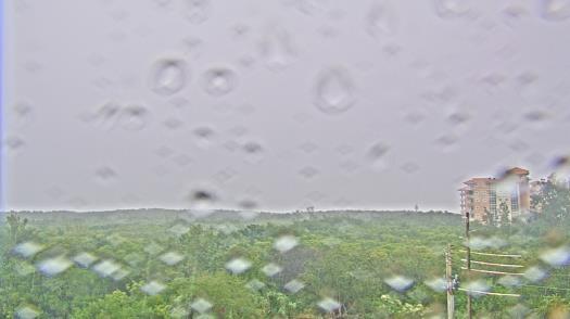 Weather camera view of WTSP-TV.