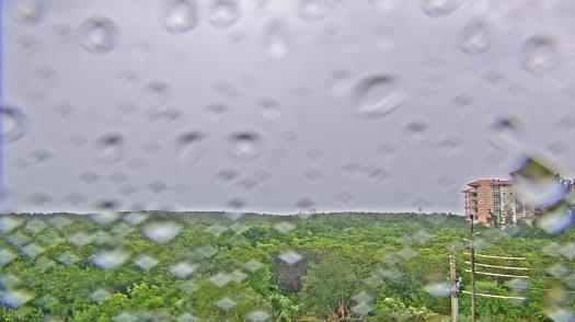 Weather camera view of WTSP-TV.