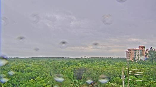 Weather camera view of WTSP-TV.