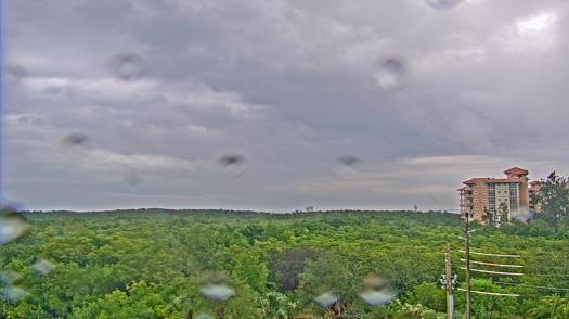 Weather camera view of WTSP-TV.