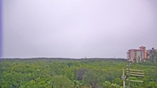 Weather camera view of WTSP-TV.