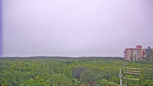 Weather camera view of WTSP-TV.