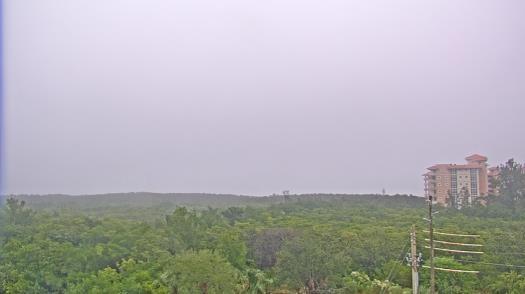 Weather camera view of WTSP-TV.