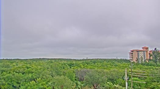 Weather camera view of WTSP-TV.