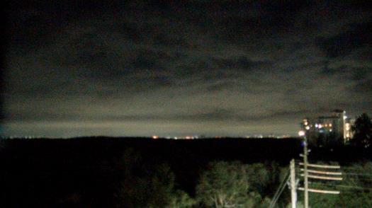 Weather camera view of WTSP-TV.