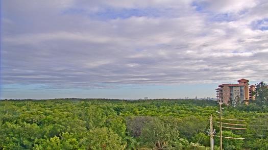 Weather camera view of WTSP-TV.