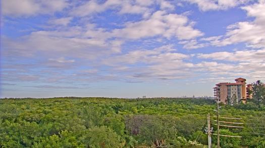 Weather camera view of WTSP-TV.