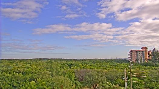 Weather camera view of WTSP-TV.