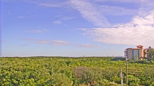 Weather camera view of WTSP-TV.