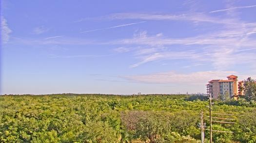 Weather camera view of WTSP-TV.