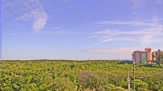 Weather camera view of WTSP-TV.