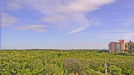 Weather camera view of WTSP-TV.