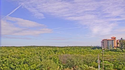 Weather camera view of WTSP-TV.