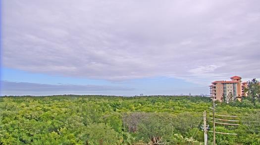 Weather camera view of WTSP-TV.