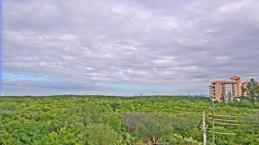 Weather camera view of WTSP-TV.
