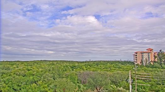 Weather camera view of WTSP-TV.