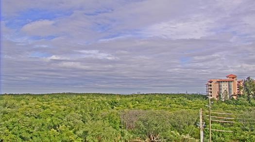 Weather camera view of WTSP-TV.