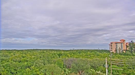 Weather camera view of WTSP-TV.