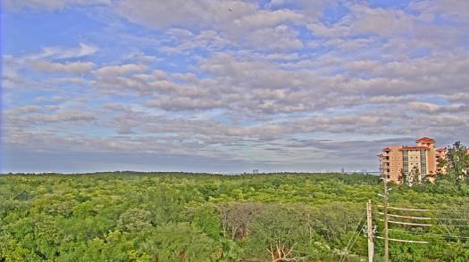 Weather camera view of WTSP-TV.