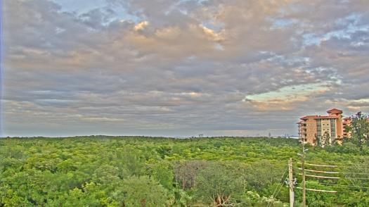 Weather camera view of WTSP-TV.