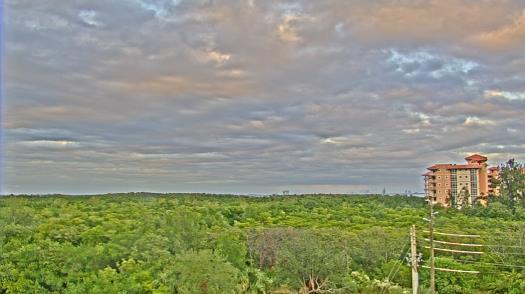 Weather camera view of WTSP-TV.